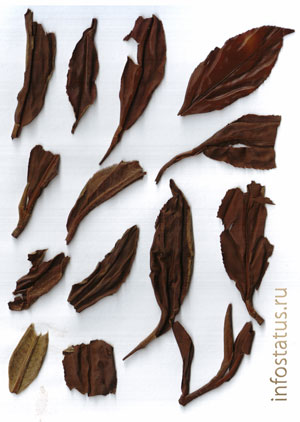 листья заваренного чая Дянь Хун